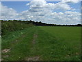 Farm track off Folly Lane