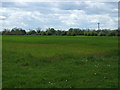 Farmland, Potter Hill