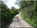 The lane at Lower Wern