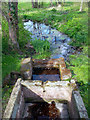 The Baths at St. Winifred