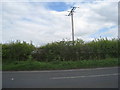 Electricity pole and the B1398