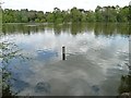 Water level gauge, Shakerley Mere