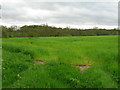 Farmland off Crow Lane