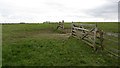 NZ2593 : Grass fields, Widdrington Station by Richard Webb