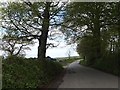 Looking north from Thornbury Cross