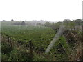 A hail storm near Enagh Lough