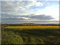 Oatley Hill from Sibford Ferris