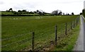 Sheep pastures  above Mill Road