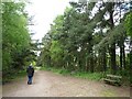 Anti-clockwise walker, Shakerley Mere