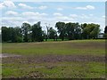 Farmland alongside the A50, Rudheath Woods