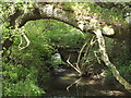 Culvert Near Greatham