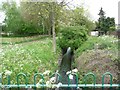 Brook running through parkland, off Church Road