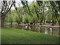 River Great Ouse at Longholme Island