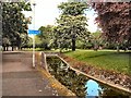 Stream by River Great Ouse