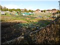 Newbold Glebe Allotments