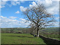 Farmland northeast of South Hayleazes