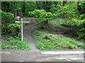 Footpath junction near Winders Hill Wood