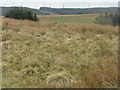 NS9058 : Moorland and rough grazing near Fauldhouse by M J Richardson