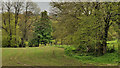 Field and trees, Purdysburn, Belfast