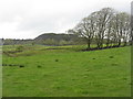 Fields at Hartwood