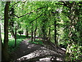 North Downs Way beside Fosterdown Wood (2)