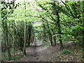 North Downs Way towards Gravelly Hill