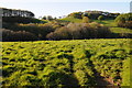 Farmland near Pwll-calch