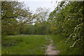 The footpath by the school