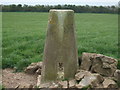 Trig Point, Sutton ( Ogmore by Sea )