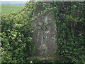 Trig Point Tair Croes, Ewenny