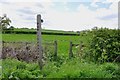 SK1334 : A Footpath with no Stile by Mick Malpass