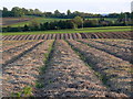 Farmland near Low Habberley