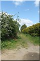 Public footpath off Mill Lane