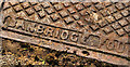 J1041 : Banbridge Foundry access cover, Loughbrickland (2) by Albert Bridge
