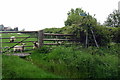 Footpath towards Wicken