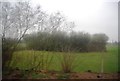 Wooded pond near Wick Farm