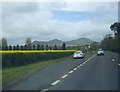 View of the Eildon Hills