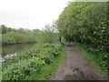 The Trans Pennine Trail runs along the River Don