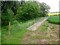 Footpath Alongside River Lee in Hatfield House Estate