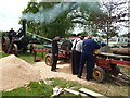 SX9891 : Devon County Show - sawing by steam by Chris Allen