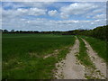 Footpath and a field near Williams Wood