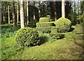 Topiary work and budding bluebells