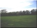 Paddock behind Crathorne Hall stable block