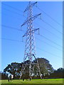 VV29, an ex-SWEB 132kV pylon in field with horses