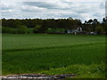 Woodside cottages across the fields