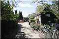 Looking down a lane