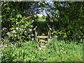 Footbridge over Hollin