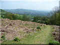 Path up the Rholben in May