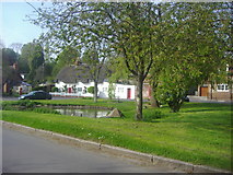SU5646 : Village green and pond, North Waltham by David Howard