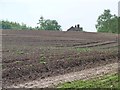 Large field north of Shawcroft Hall Farm